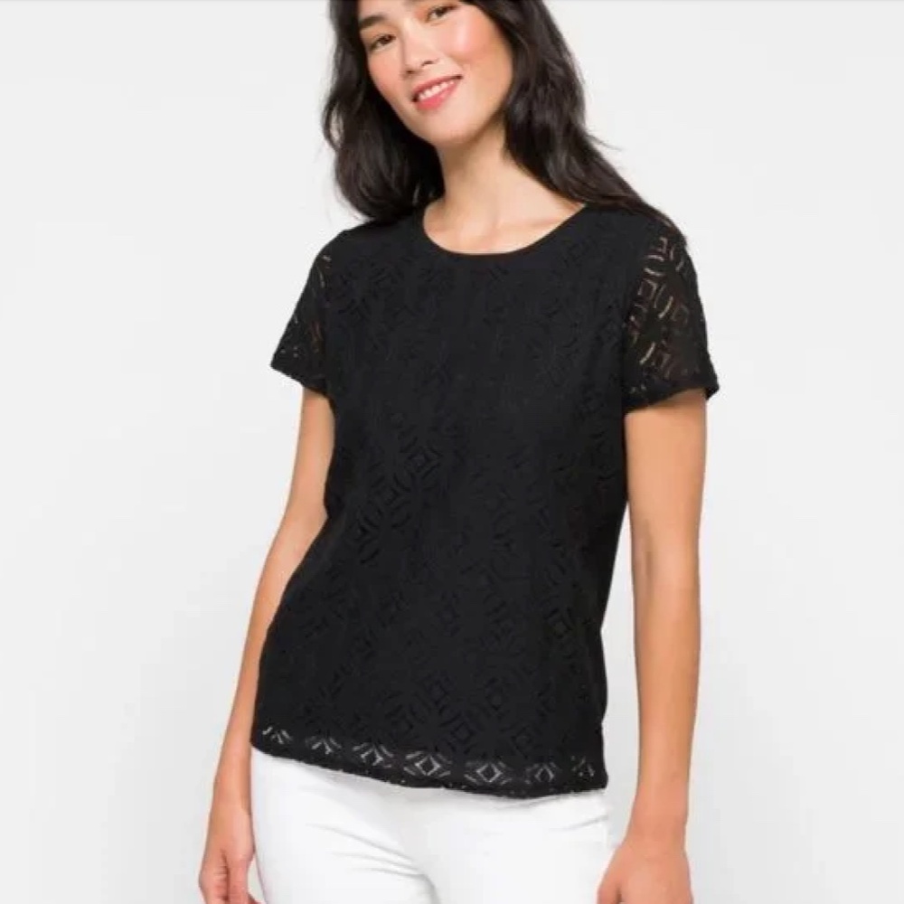 Market & Spruce Women's Black Lace Short Sleeve Top - Size Small